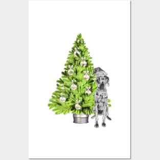 Great Dane Christmas Scene with Christmas tree and Santa hat. Posters and Art